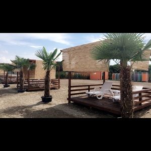 Meet your Posher, Thalia